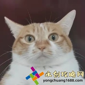 warthunder：如何在這款經(jīng)典游戲中快速提升戰斗技巧？