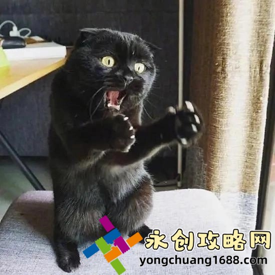 女生家規越害羞越好，打人也能變得更有效